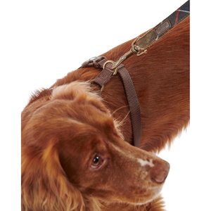 Barbour Travel And Exercise Dog Harness